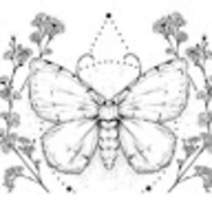 Meet your Posher, Tanner